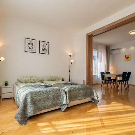 Bright & Spacious Downtown Apt. Apartment
