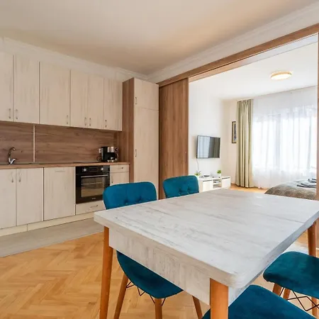 Bright & Spacious Downtown Apt. Apartment *