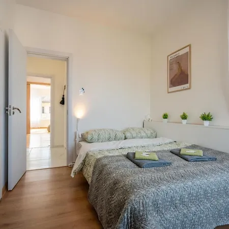 Bright & Spacious Downtown Apt. Apartment