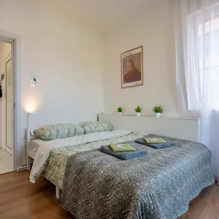 Bright & Spacious Downtown Apt. Apartment